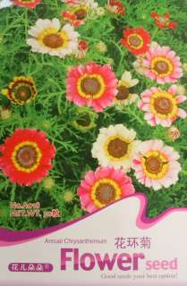 A018 Flower Annual chrysanthemum Chrysant hemun Seed D  