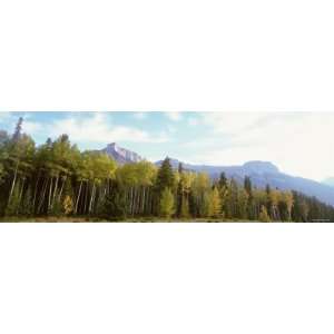  Parkway, Canadian Rockies, Jasper National Park, Alberta, Canada 