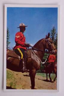 1950s? Royal Canadian Mounted Police Horse Vancouver BC  