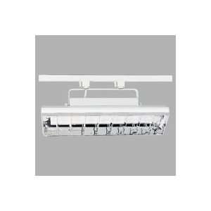   Bright White Compact Fluorescent Wall Washer