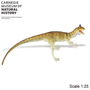 Carnegie Collection Crylophosaurus picture