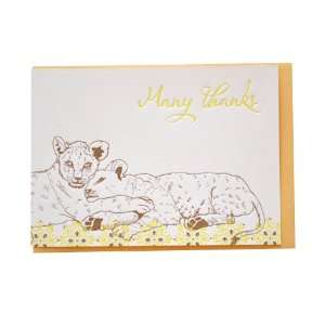 com Delphine Lion Cubs Letterpress Note Card Set, Letterpressed Cards 