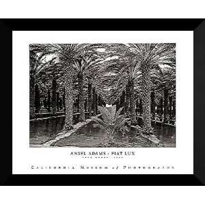 Ansel Adams Framed Art 32x29 Palm Grove, 1966