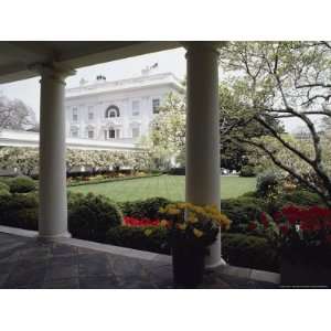  View of the Rose Garden from the White House National 