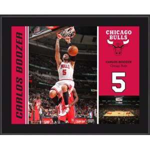 Carlos Boozer Sublimated 10x13 Plaque  Details Chicago Bulls