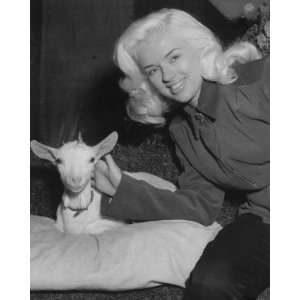 DIANA DORS A KID FOR TWO FARTHINGS HIGH QUALITY 16x20 CANVAS ART 