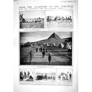    1915 AUSTRALIA SOLDIERS WAR EGYPT REID GEORGE RIBOT