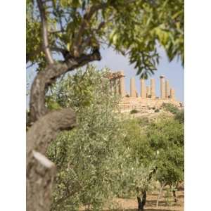  Olive and Almond Trees and the Temple of Juno, Valley of 
