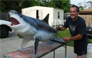 NEW XXL Tiger Shark Replica/ MOUNT approx 8 ft  