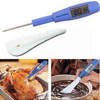 Handy Gourmet Thermometer Spatula with Meat Probe 017874003891  