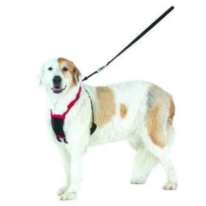   Harness Lg/xl Black (Catalog Category Dog / Harnesses)