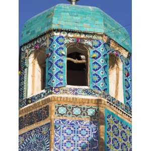 Famous White Pigeon in Minaret, Who was Assassinated in 661 