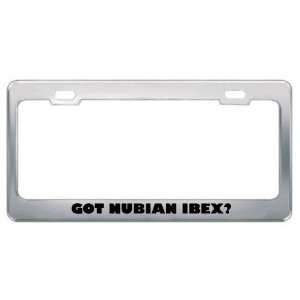 Got Nubian Ibex? Animals Pets Metal License Plate Frame Holder Border 