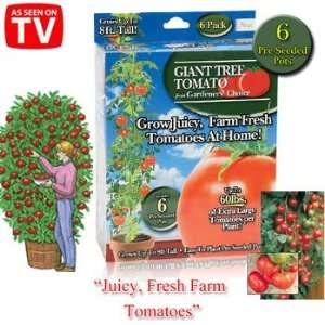  As Seen on Tv Giant Tomato Tree Patio, Lawn & Garden