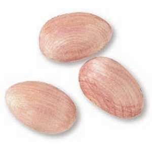  Egg Shaped Cedar Scents in Natural Finish   Pack of 4 