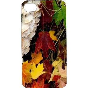  Plastic Case Custom Designed Autumn Leaves iPhone Case for iPhone 4 