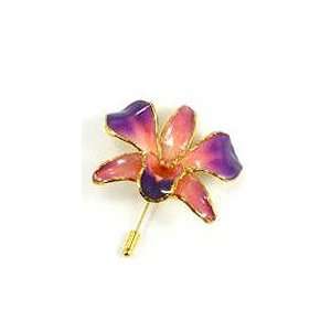    REAL FLOWER Dendrobium Orchid Pin Brooch Purple Orange Jewelry