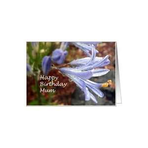  Mum Birthday   Agapanthus, Flower Card Health & Personal 