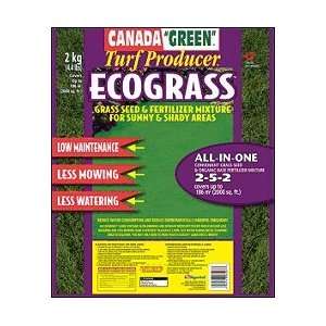  Canada Green Grass Seed   Low Maintenance Ecograss, 4.4 