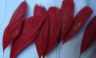 30 PCS. STARDUST RED STRIPPED COQUE ROOSTER FEATHERS  