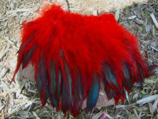 50 HALF BRONZE BOLD RED SCHLAPPEN ROOSTER FEATHERS 5 7  