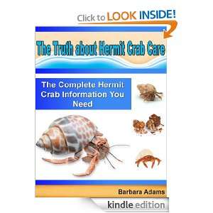 The Truth about Hermit Crab Care The Complete Hermit Crab Information 