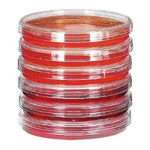 Sterile Petri Dishes; 100 mm dia x 15 mm H; 500/box  