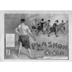  Plasmon Cocoa Antique Advertisment 1903