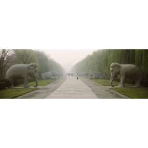  Statues of Elephants Along a Road, Sacred Way, Ming Tombs 