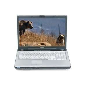  Toshiba PSPB3U 0MV00L Satellite P205 S7806 17.0 Notebook 