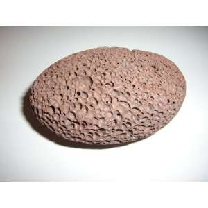  Dead Sea Products Pumice Stones    Buy 1 Get 1 FREE 