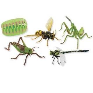  Toysmith Insect 4d Puzzle Explore similar items