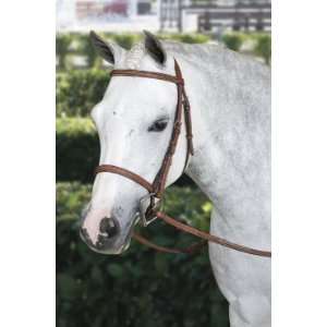 Rodrigo Fancy Stitched Bridle with Raised Fancy Stitched Laced Reins 