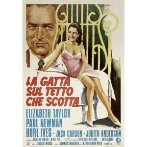  Cat On a Hot Tin Roof Movie Poster (27 x 40 Inches   69cm 