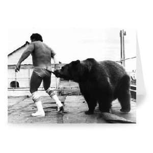  Wrestling Bear   Greeting Card (Pack of 2)   7x5 inch 