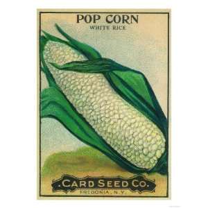  Pop Corn Seed Packet Premium Poster Print