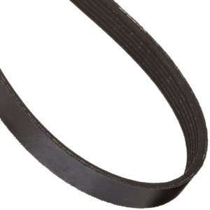  Goodyear Engineered Products Poly V V Belt, 725L20, Ribbed 