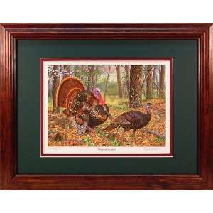  Beauty and the Feast   Wild Turkey from Wildlife Artist 