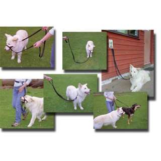 Halti Dog Training Lead Multi Functional   Red  